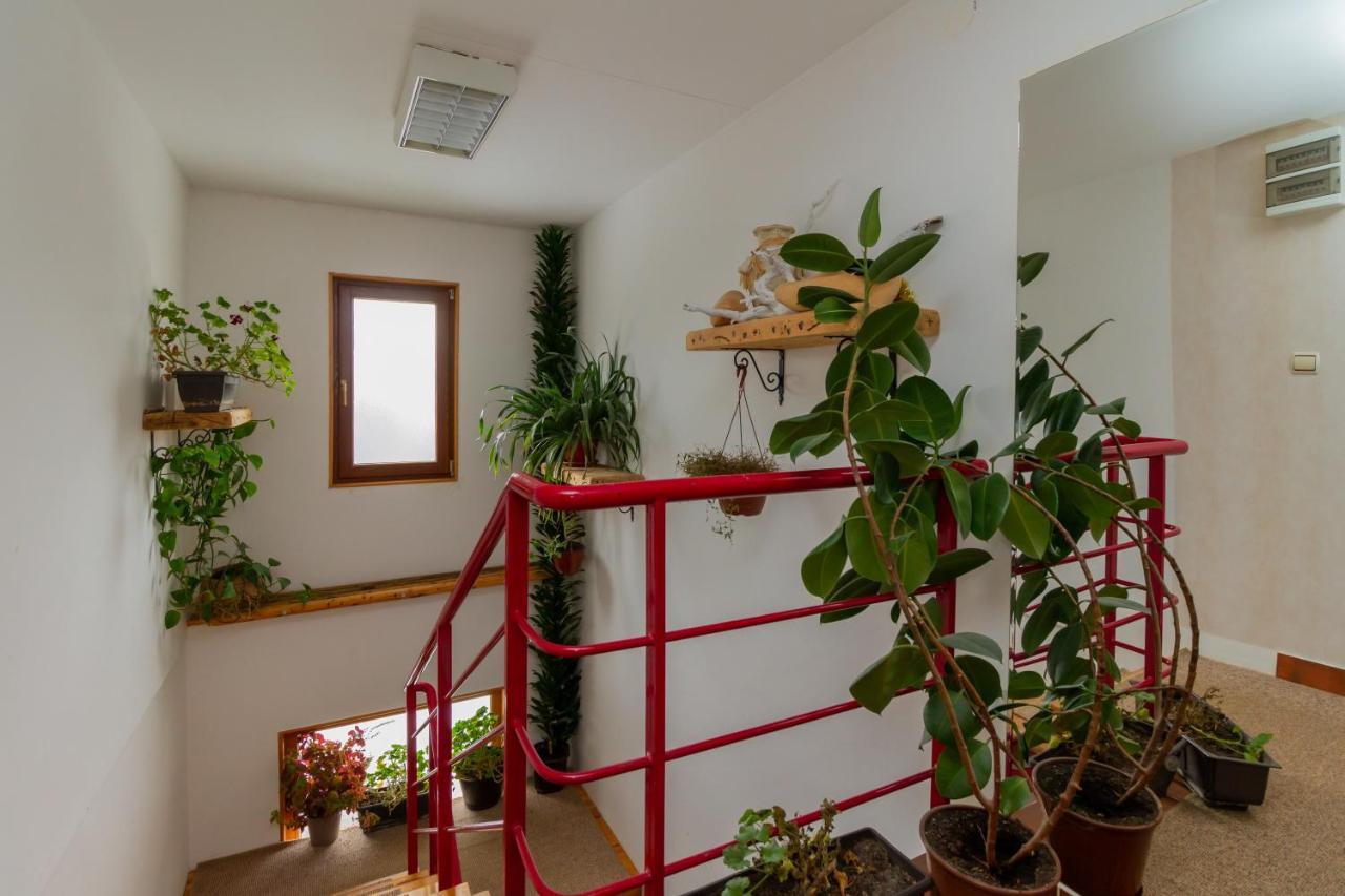 Apartment Nika *
