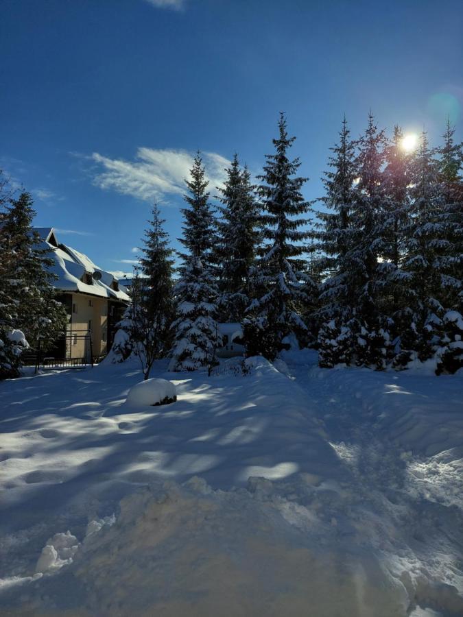 Nika Zlatibor